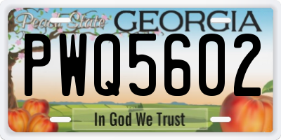 GA license plate PWQ5602