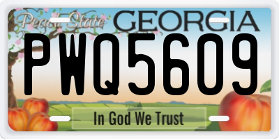 GA license plate PWQ5609