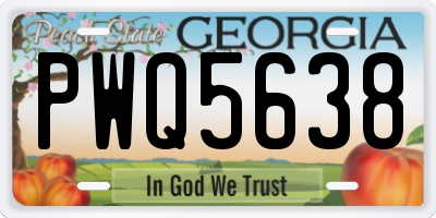 GA license plate PWQ5638