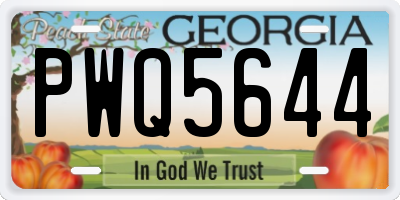 GA license plate PWQ5644