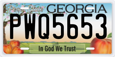GA license plate PWQ5653