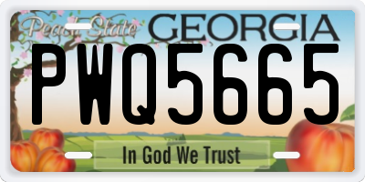 GA license plate PWQ5665