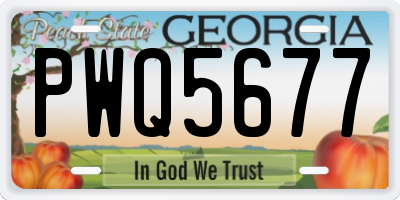 GA license plate PWQ5677