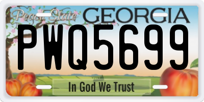 GA license plate PWQ5699
