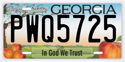 GA license plate PWQ5725