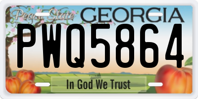GA license plate PWQ5864