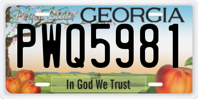 GA license plate PWQ5981