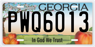GA license plate PWQ6013