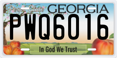 GA license plate PWQ6016