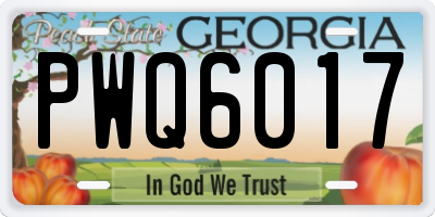 GA license plate PWQ6017