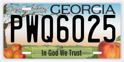 GA license plate PWQ6025