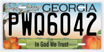 GA license plate PWQ6042