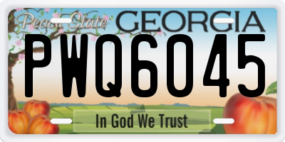 GA license plate PWQ6045