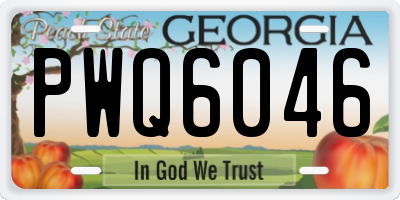 GA license plate PWQ6046