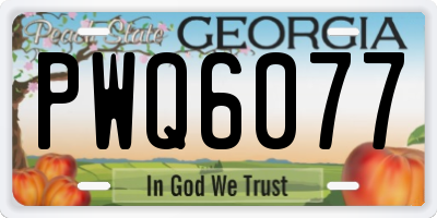 GA license plate PWQ6077