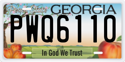 GA license plate PWQ6110