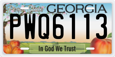 GA license plate PWQ6113