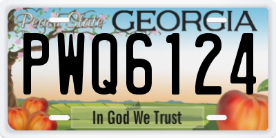 GA license plate PWQ6124