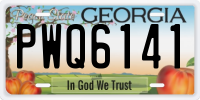 GA license plate PWQ6141