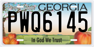GA license plate PWQ6145