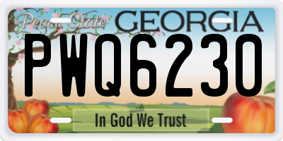 GA license plate PWQ6230