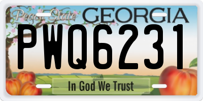 GA license plate PWQ6231