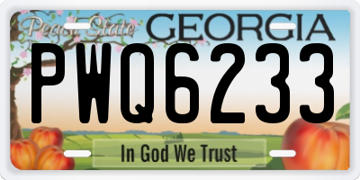 GA license plate PWQ6233