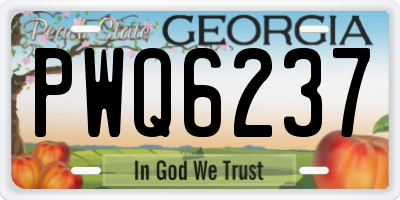 GA license plate PWQ6237