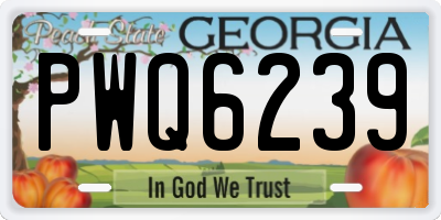 GA license plate PWQ6239