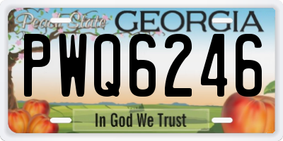GA license plate PWQ6246