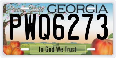 GA license plate PWQ6273