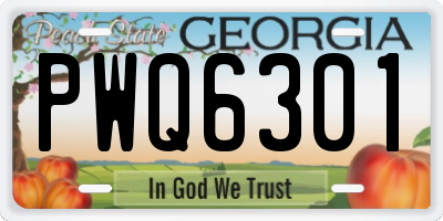 GA license plate PWQ6301