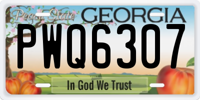 GA license plate PWQ6307