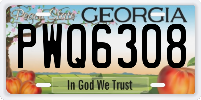 GA license plate PWQ6308