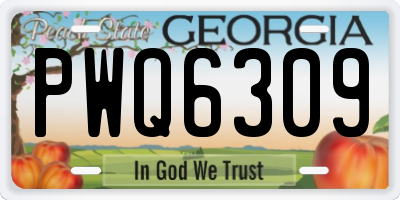 GA license plate PWQ6309