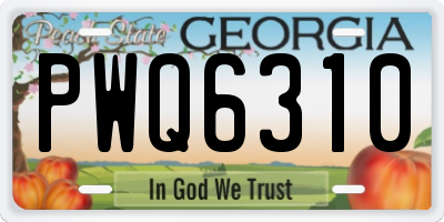 GA license plate PWQ6310