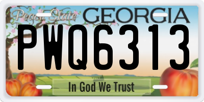 GA license plate PWQ6313