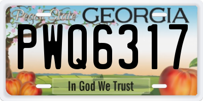 GA license plate PWQ6317