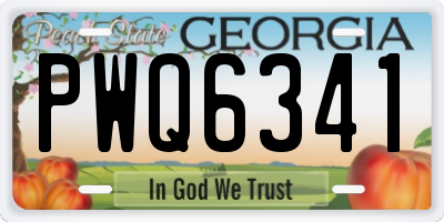 GA license plate PWQ6341