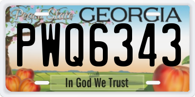 GA license plate PWQ6343