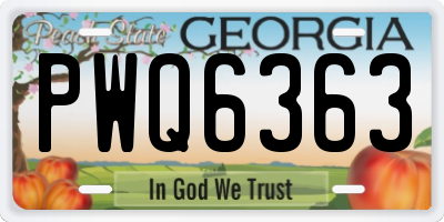 GA license plate PWQ6363