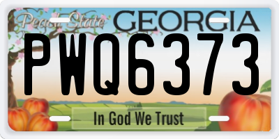 GA license plate PWQ6373
