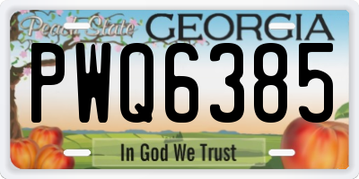 GA license plate PWQ6385