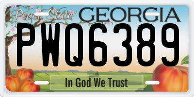 GA license plate PWQ6389
