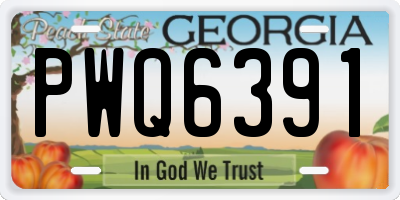 GA license plate PWQ6391