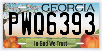 GA license plate PWQ6393