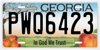 GA license plate PWQ6423