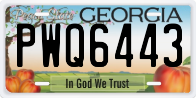 GA license plate PWQ6443