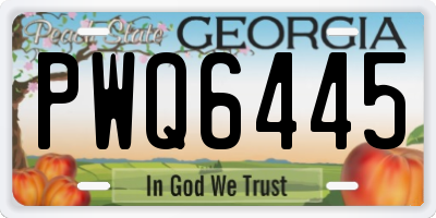 GA license plate PWQ6445