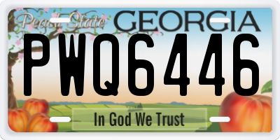 GA license plate PWQ6446